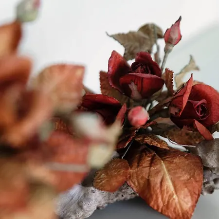 A Casa Di Laura By Quokka 360 - Large Open Space In Centre Daire Lugano