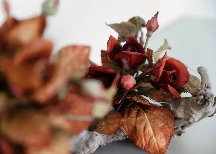 A Casa Di Laura By Quokka 360 - Large Open Space In Centre アパート ルガーノ